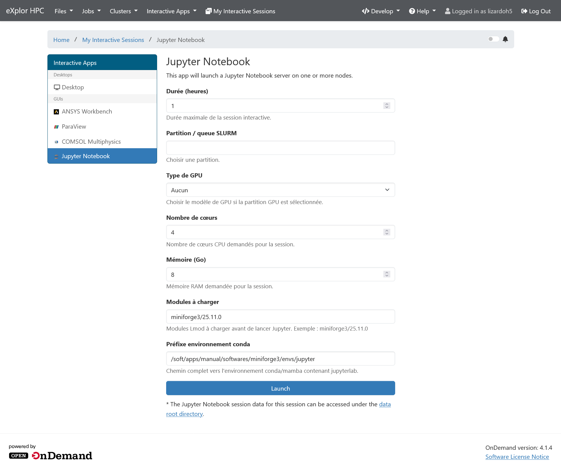 Formulaire JupyterLab dans Open OnDemand